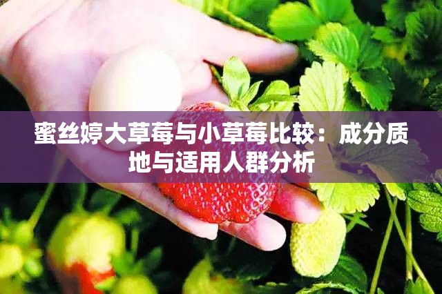 蜜丝婷大草莓与小草莓比较：成分质地与适用人群分析