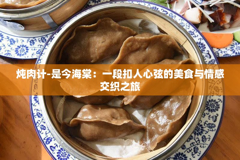 炖肉计-是今海棠：一段扣人心弦的美食与情感交织之旅