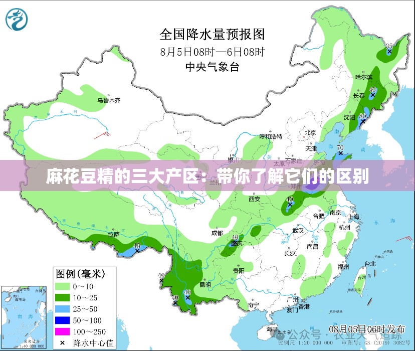 麻花豆精的三大产区：带你了解它们的区别