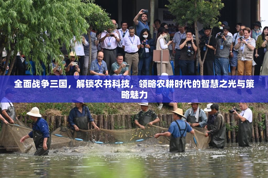 全面战争三国，解锁农书科技，领略农耕时代的智慧之光与策略魅力