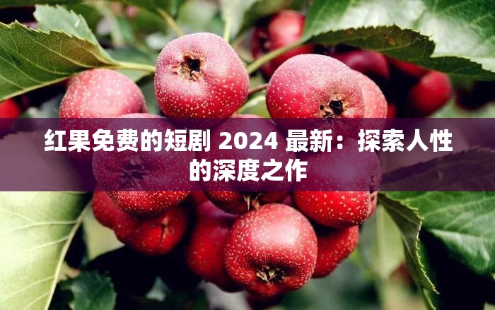 红果免费的短剧 2024 最新：探索人性的深度之作