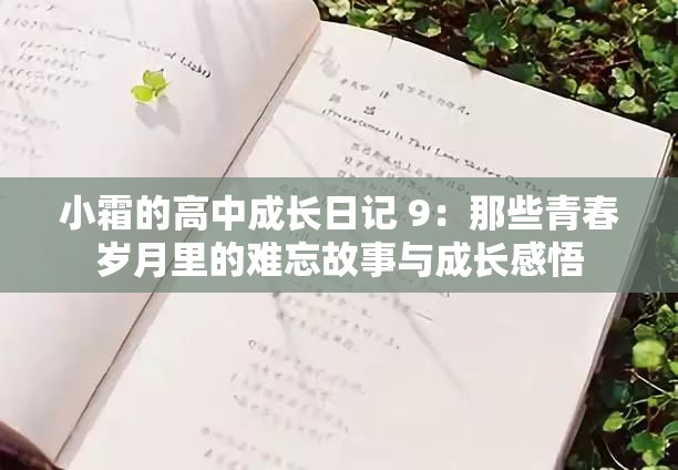 小霜的高中成长日记 9：那些青春岁月里的难忘故事与成长感悟