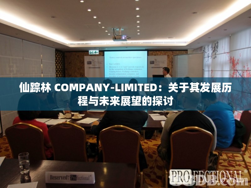 仙踪林 COMPANY-LIMITED：关于其发展历程与未来展望的探讨