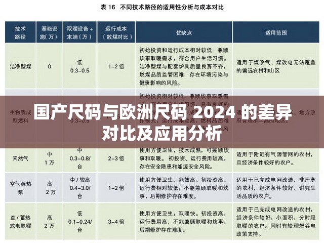 国产尺码与欧洲尺码 2024 的差异对比及应用分析