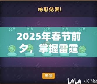 2025年春节前夕，掌握雷霆一击高效标记队友秘籍，轻松设置队友标志