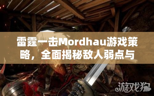 雷霆一击Mordhau游戏策略，全面揭秘敌人弱点与弱点针对艺术