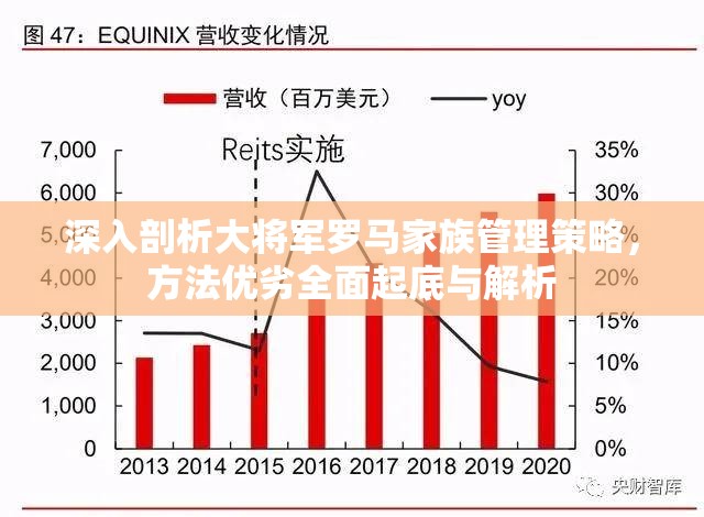 深入剖析大将军罗马家族管理策略，方法优劣全面起底与解析