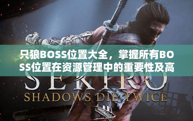 只狼BOSS位置大全，掌握所有BOSS位置在资源管理中的重要性及高效探索策略