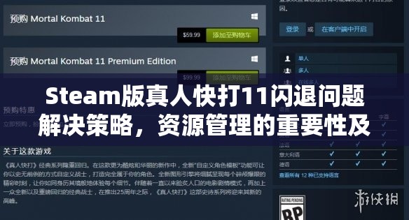 Steam版真人快打11闪退问题解决策略，资源管理的重要性及高效应用方法