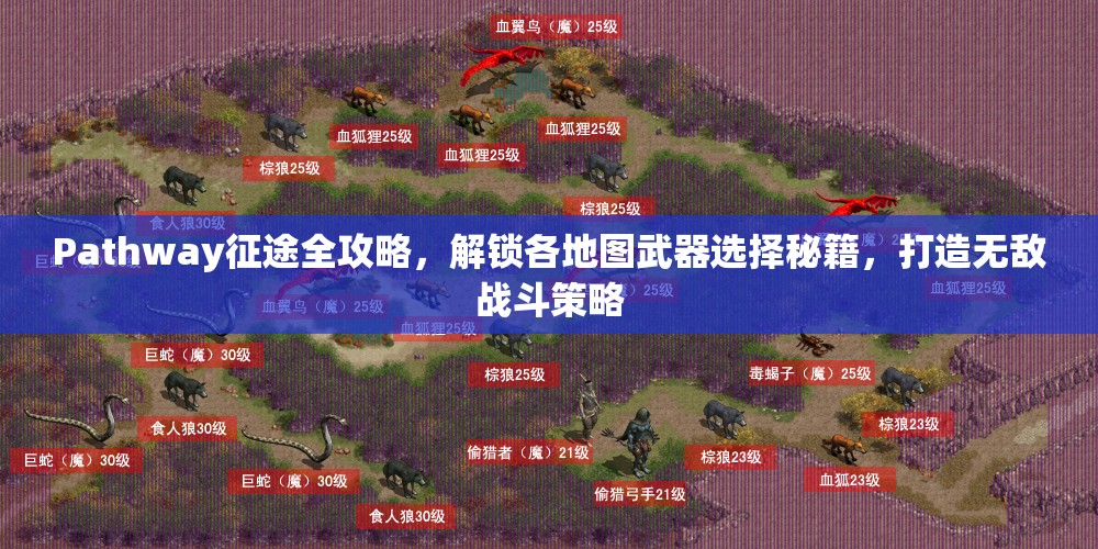 Pathway征途全攻略，解锁各地图武器选择秘籍，打造无敌战斗策略