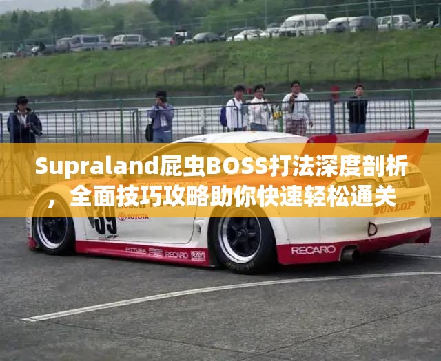 Supraland屁虫BOSS打法深度剖析，全面技巧攻略助你快速轻松通关