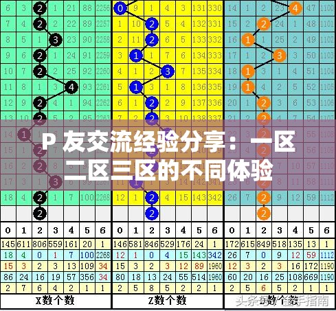 P 友交流经验分享：一区二区三区的不同体验