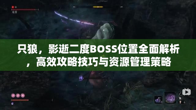 只狼，影逝二度BOSS位置全面解析，高效攻略技巧与资源管理策略