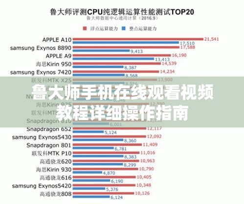 鲁大师手机在线观看视频教程详细操作指南