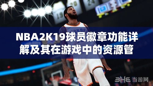 NBA2K19球员徽章功能详解及其在游戏中的资源管理优化策略