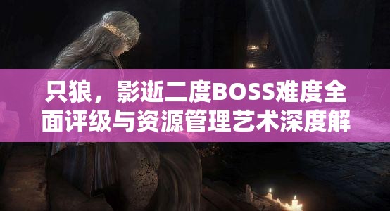 只狼，影逝二度BOSS难度全面评级与资源管理艺术深度解析