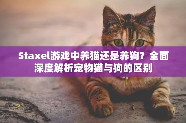 Staxel游戏中养猫还是养狗？全面深度解析宠物猫与狗的区别