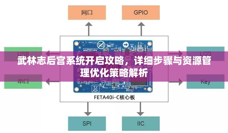 武林志后宫系统开启攻略，详细步骤与资源管理优化策略解析