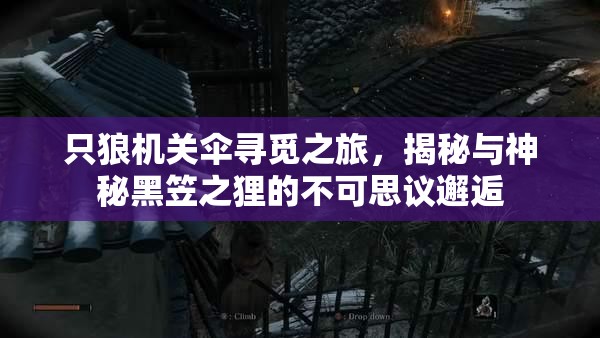 只狼机关伞寻觅之旅，揭秘与神秘黑笠之狸的不可思议邂逅