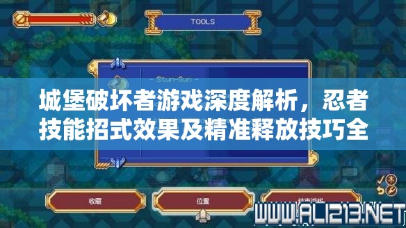 城堡破坏者游戏深度解析，忍者技能招式效果及精准释放技巧全揭秘