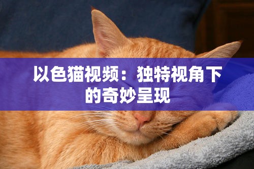 以色猫视频：独特视角下的奇妙呈现