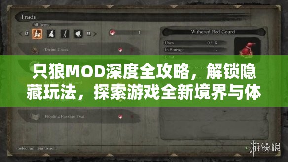 只狼MOD深度全攻略，解锁隐藏玩法，探索游戏全新境界与体验