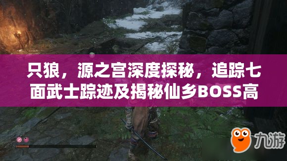 只狼，源之宫深度探秘，追踪七面武士踪迹及揭秘仙乡BOSS高效打法