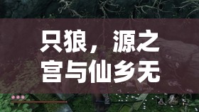 只狼，源之宫与仙乡无首攻略——资源管理、高效打法技巧与价值最大化策略