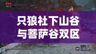 只狼社下山谷与菩萨谷双区域无首BOSS高效打法全面解析