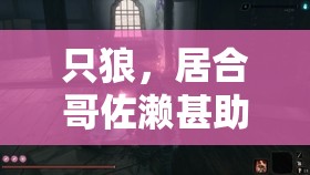 只狼，居合哥佐濑甚助的高效逃课打法——资源管理策略与实战技巧解析