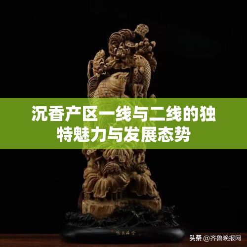 沉香产区一线与二线的独特魅力与发展态势