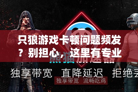 只狼游戏卡顿问题频发？别担心，这里有专业妙招助你流畅体验！