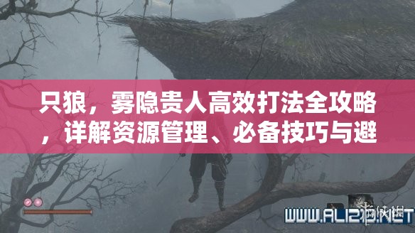 只狼，雾隐贵人高效打法全攻略，详解资源管理、必备技巧与避免资源浪费策略