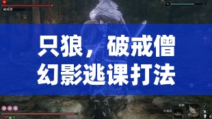 只狼，破戒僧幻影逃课打法与水生村BOSS攻略，资源管理技巧与实战应用详解