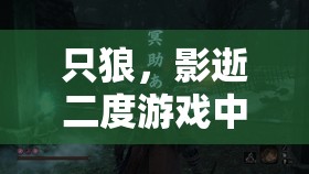 只狼，影逝二度游戏中怨恨之鬼BOSS详细位置探索与前往方法揭秘