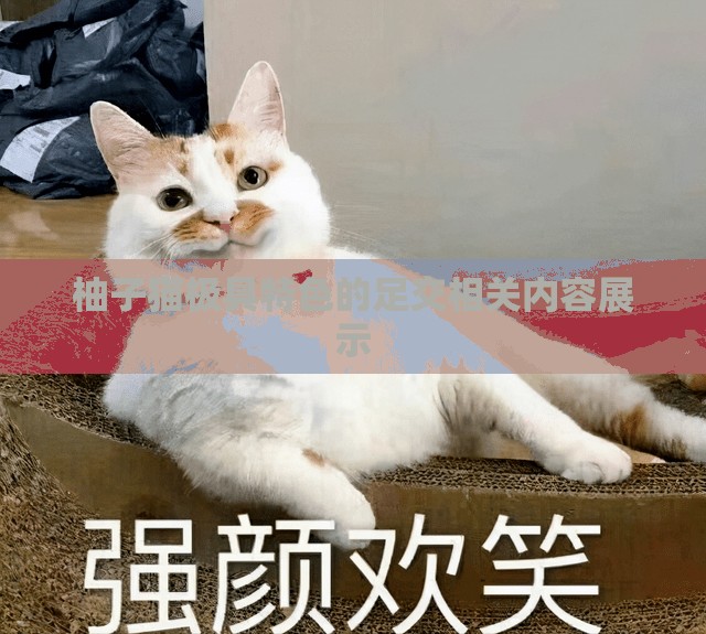 柚子猫极具特色的足交相关内容展示