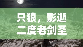 只狼，影逝二度老剑圣挑战全攻略，深度剖析修罗结局苇名一心BOSS战技巧