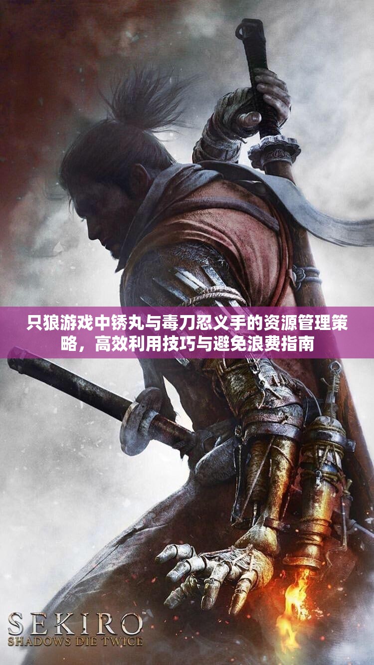 只狼游戏中锈丸与毒刀忍义手的资源管理策略，高效利用技巧与避免浪费指南