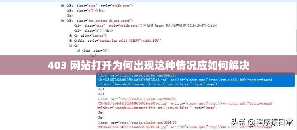 403 网站打开为何出现这种情况应如何解决