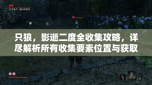 只狼，影逝二度全收集攻略，详尽解析所有收集要素位置与获取方法