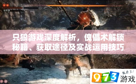 只狼游戏深度解析，傀儡术解锁秘籍、获取途径及实战运用技巧大揭秘