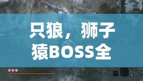 只狼，狮子猿BOSS全面打法揭秘与高效攻略心得独家放送