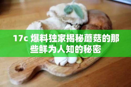 17c 爆料独家揭秘蘑菇的那些鲜为人知的秘密