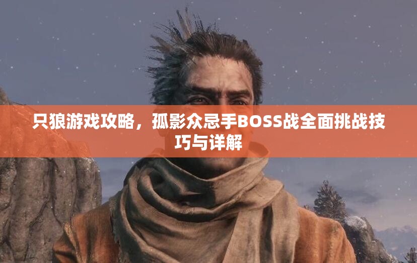 只狼游戏攻略，孤影众忌手BOSS战全面挑战技巧与详解