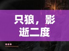 只狼，影逝二度长爪蜈蚣峰云BOSS高效打法技巧与攻略详解