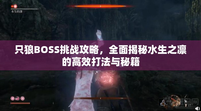 只狼BOSS挑战攻略，全面揭秘水生之凛的高效打法与秘籍