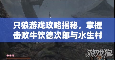 只狼游戏攻略揭秘，掌握击败牛饮德次郎与水生村酒鬼BOSS的必胜策略