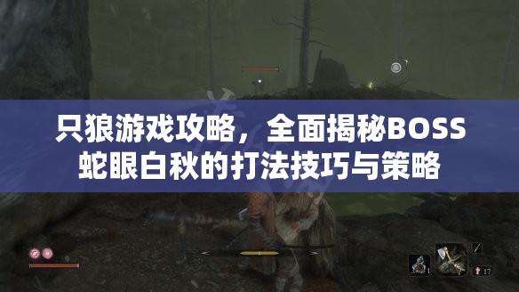 只狼游戏攻略，全面揭秘BOSS蛇眼白秋的打法技巧与策略