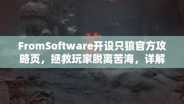 FromSoftware开设只狼官方攻略页，拯救玩家脱离苦海，详解资源管理重要性及高效策略