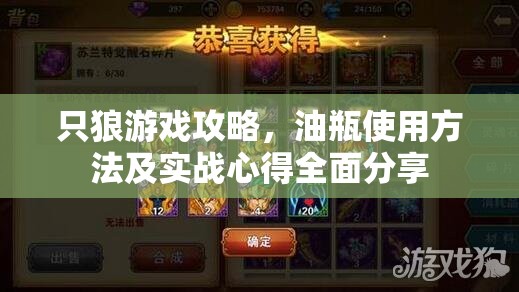 只狼游戏攻略，油瓶使用方法及实战心得全面分享